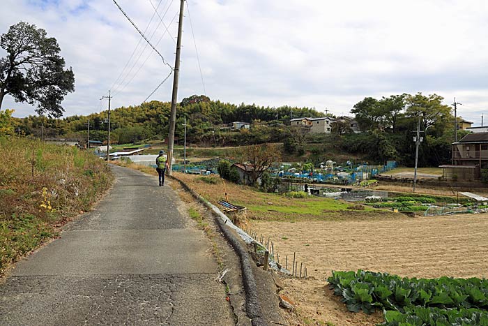 京都一周トレイルの風景