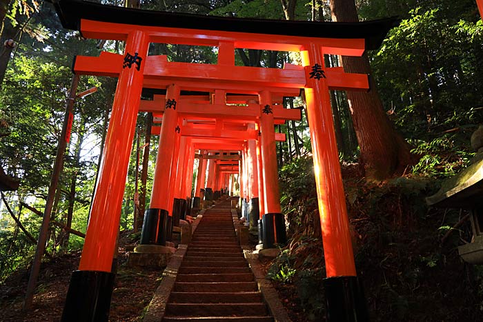 稲荷大社お山巡り