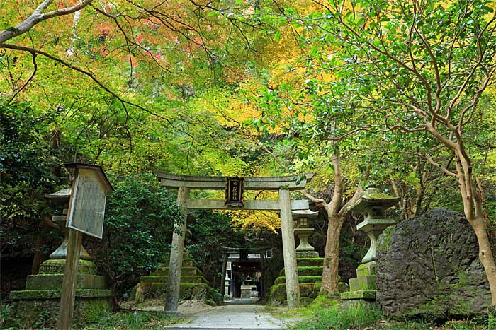 大山祇神社