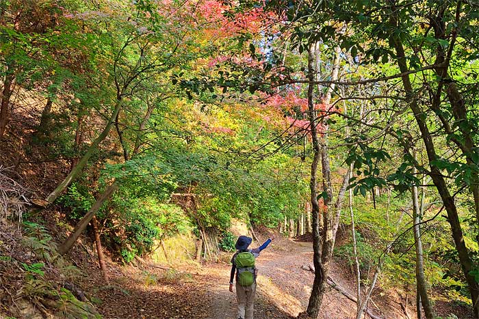 京都一周トレイル