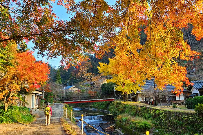 京都一周トレイル