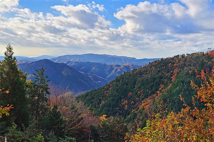 愛宕山登山