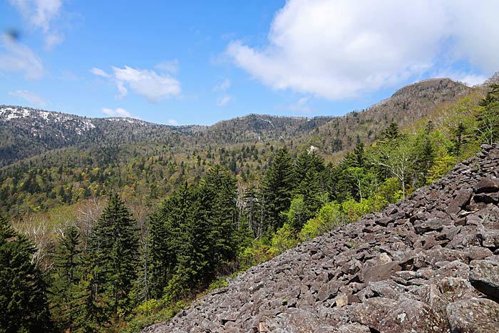 手稲山平和の滝コース