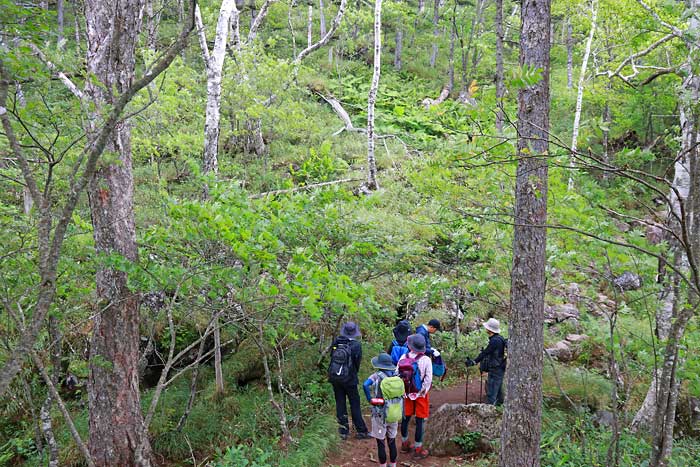 白雲山の登山