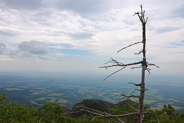 白雲山の登山