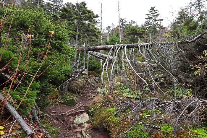 東ヌプカウシヌプリの登山